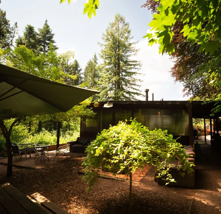 Ystafelloedd Te y Goedwig, Tongwynlais 