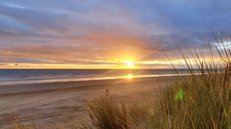 Gwario'r haul o draeth Ynys Enlli