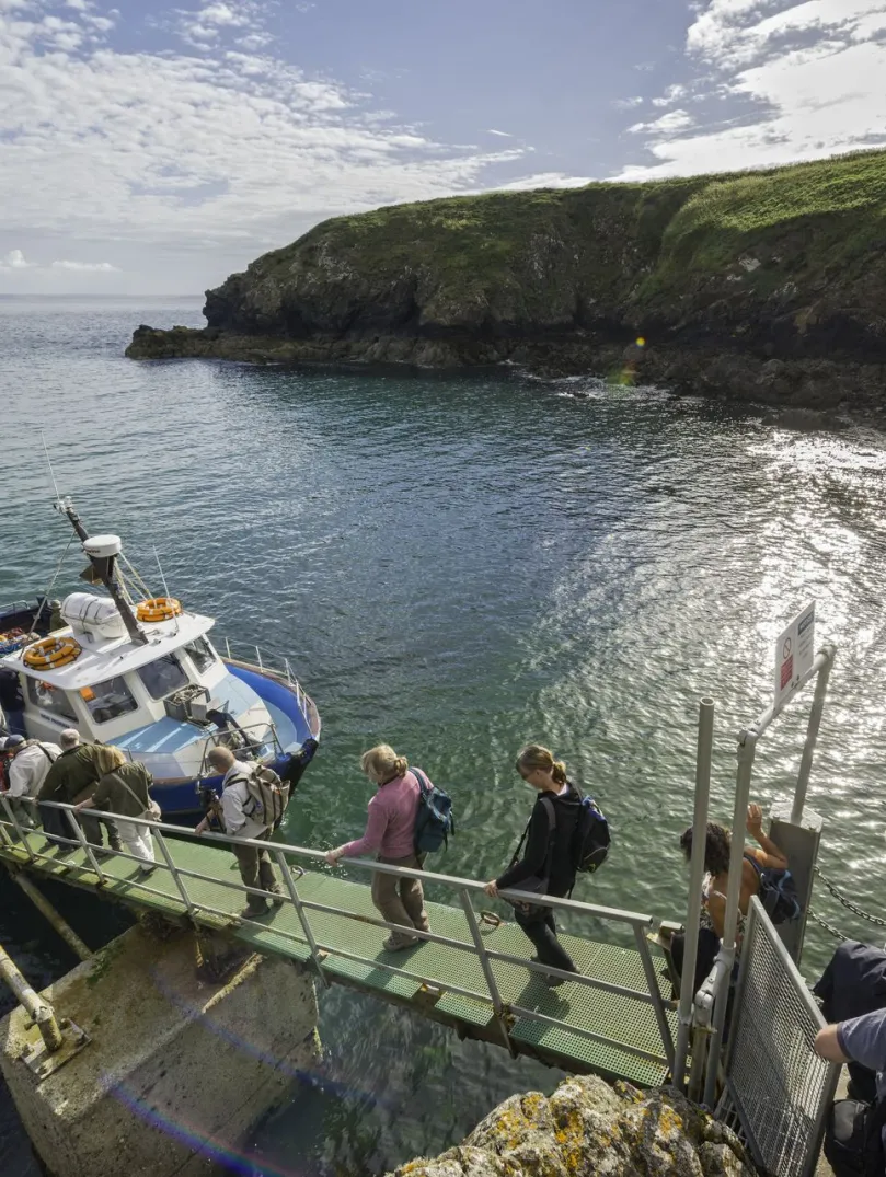 Grŵp yn bwrddio cwch Dale Princess ym Martin’s Haven, Sgomer, Sir Benfro.