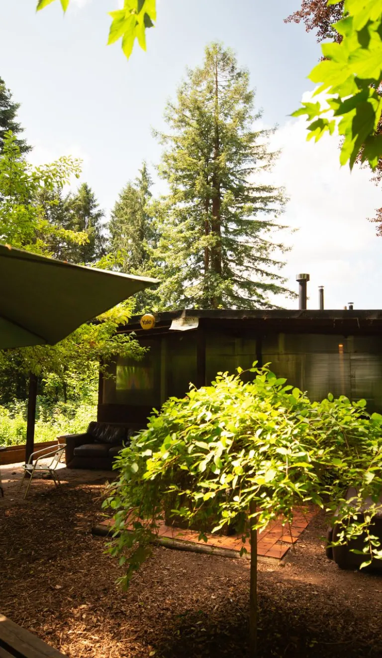 Ystafelloedd Te y Goedwig, Tongwynlais 